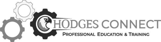 HODGES CONNECT PROFESSIONAL EDUCATION & TRAINING