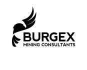 BURGEX MINING CONSULTANTS