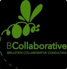 BCOLLABORATIVE BRILLSTEIN COLLABORATIVE CONSULTING