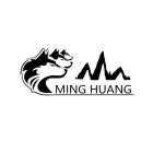 MING HUANG