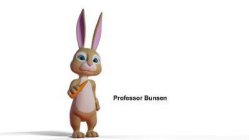 PROFESSOR BUNSEN