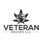 VETERAN GROWN LLC
