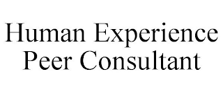 HUMAN EXPERIENCE PEER CONSULTANT