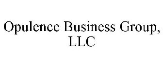 OPULENCE BUSINESS GROUP LLC
