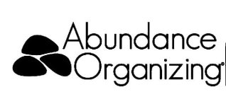 ABUNDANCE ORGANIZING