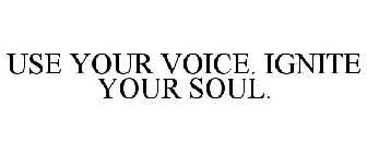 USE YOUR VOICE. IGNITE YOUR SOUL.
