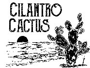 CILANTRO CACTUS