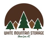 WHITE MOUNTAIN STORAGE SHOW LOW, AZ