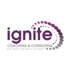 IGNITE COACHING & CONSULTING BIG IDEAS FOR SMALL BUSINESS