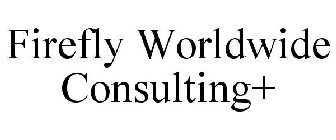 FIREFLY WORLDWIDE CONSULTING+
