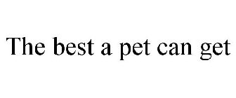 THE BEST A PET CAN GET