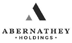 A ABERNATHEY HOLDINGS