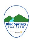 BLUE SPRINGS EGG FARM DIVISION OF HERBRUCK'SCK'S