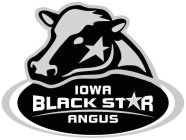 IOWA BLACK STAR ANGUS