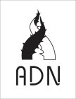 ADN