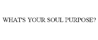WHAT'S YOUR SOUL PURPOSE?