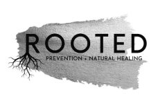 ROOTED PREVENTION + NATURAL HEALING