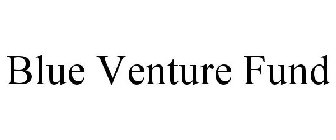 BLUE VENTURE FUND