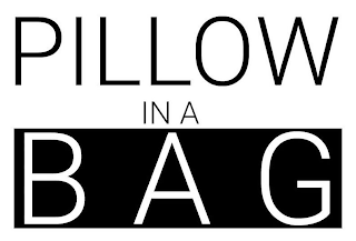 PILLOW IN A BAG