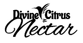 DIVINE CITRUS NECTAR