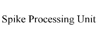 SPIKE PROCESSING UNIT