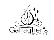 GALLAGHER'S WATER
