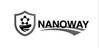 NANOWAY