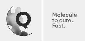 Q MOLECULE TO CURE. FAST.