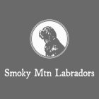 SMOKY MTN LABRADORS