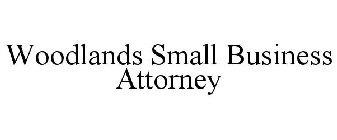 WOODLANDS SMALL BUSINESS ATTORNEY