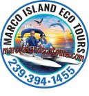 MARCO ISLAND ECO TOURS MARCOISLANDECOTOURS.COM 239-394-1455