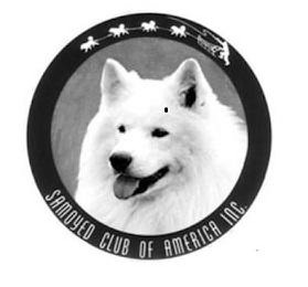 SAMOYED CLUB OF AMERICA INC