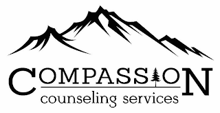 COMPASSION COUNSELING SERVICES