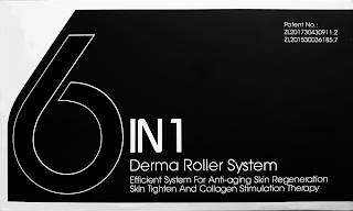 6 IN 1 DERMA ROLLER SYSTEM