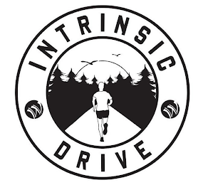 INTRINSIC DRIVE