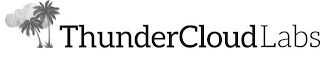 THUNDERCLOUDLABS