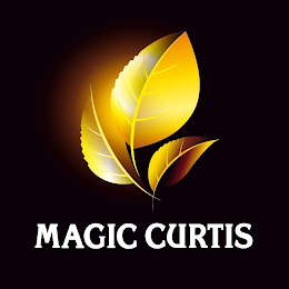 MAGIC CURTIS