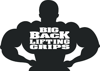 BIG BACK LIFTING GRIPS