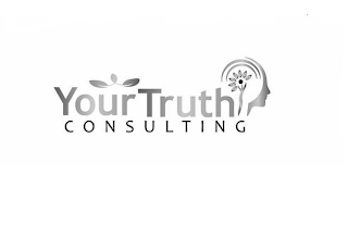YOUR TRUTH CONSULTING