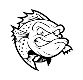 Image Trademark