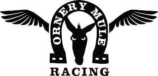 ORNERY MULE RACING