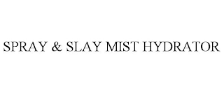 SPRAY & SLAY MIST HYDRATOR