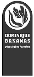 DOMINIQUE BANANAS PLASTIC FREE FARMING