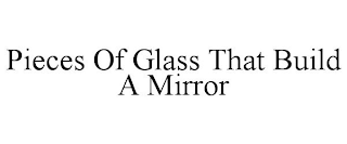 PIECES OF GLASS THAT BUILD A MIRROR