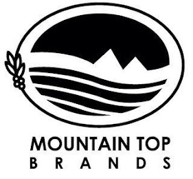 MOUNTAIN TOP BRANDS