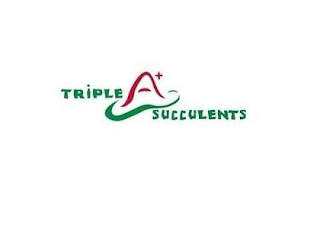 TRIPLE A+ SUCCULENTS