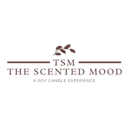 TSM THE SCENTED MOOD A SOY CANDLE EXPERIENCE