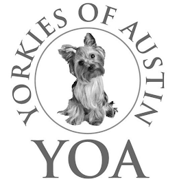 YOA YORKIES OF AUSTIN