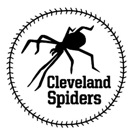CLEVELAND SPIDERS