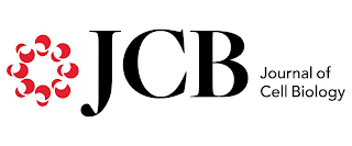 JCB JOURNAL OF CELL BIOLOGY